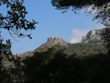 Castell d'Alfofra