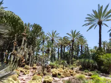 Huerto del Cura